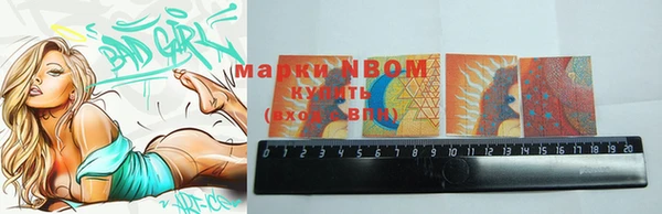 стаф Белокуриха