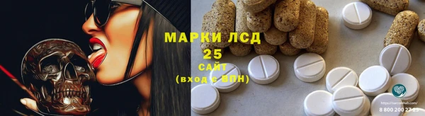 mdpv Медвежьегорск