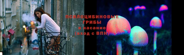 mdpv Медвежьегорск
