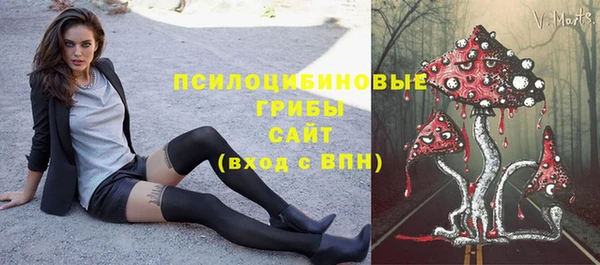 меф Мегион