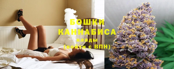 mdpv Медвежьегорск