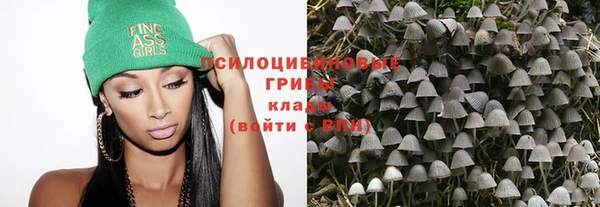 mdpv Медвежьегорск