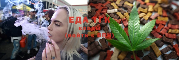 тгк Медногорск