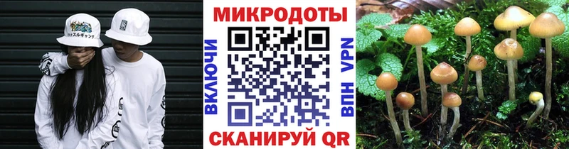 KRAKEN маркетплейс  Фрязино  Псилоцибиновые грибы Magic Shrooms  купить  