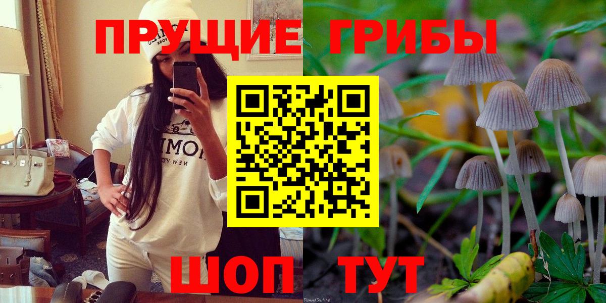 Псилоцибиновые грибы мицелий Фрязино