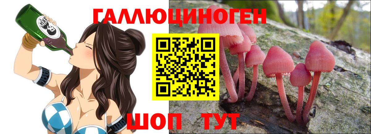 МЕФ  Вход с VPN  МАРИХУАНА  НБОМе  Фрязино  Меф   ГАШ 