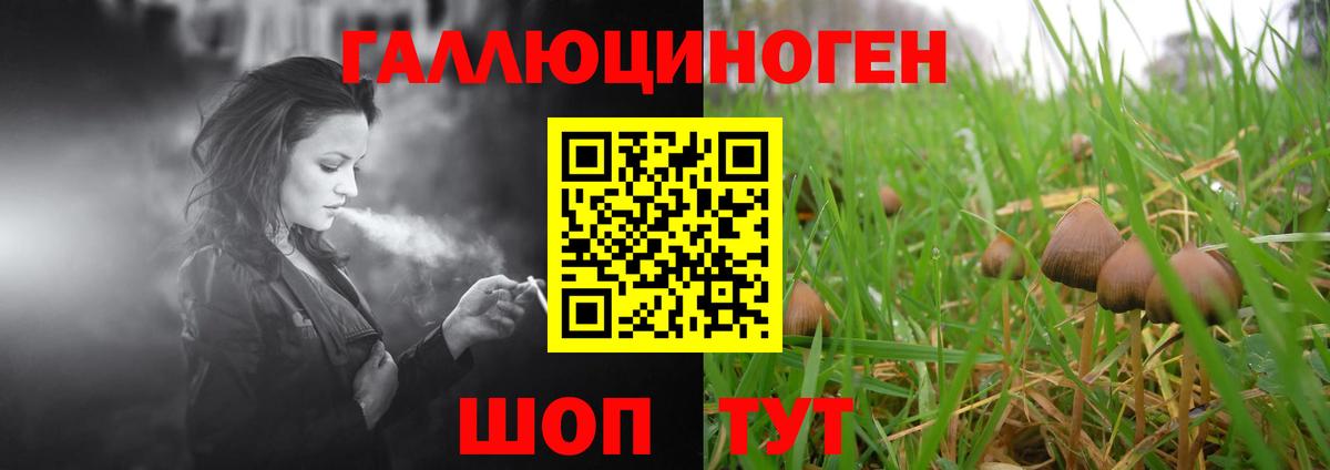 Галлюциногенные грибы MAGIC MUSHROOMS Фрязино