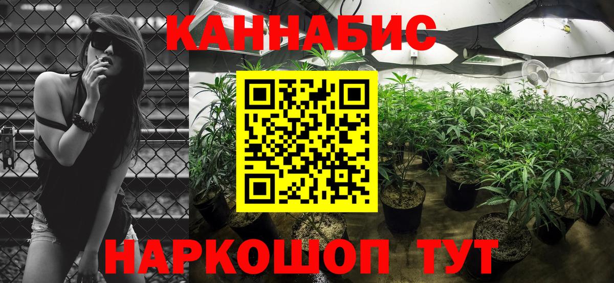 Каннабис план Фрязино